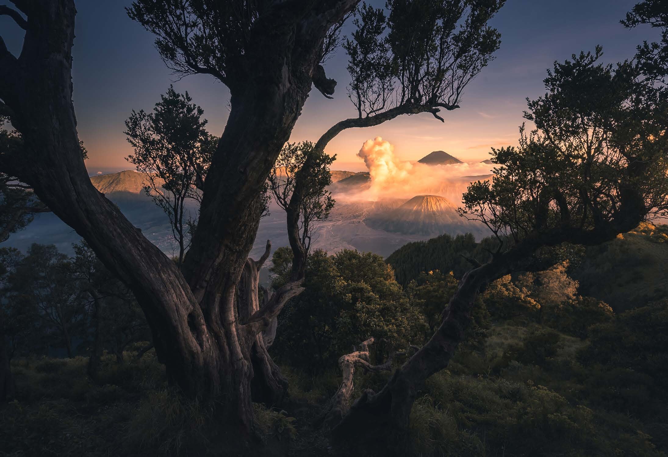 风光后期基础-《侏罗纪公园》